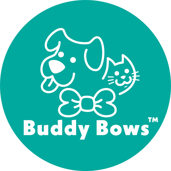 Buddy Bows